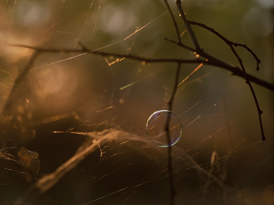 Herbst, eine fragile Traum ...
