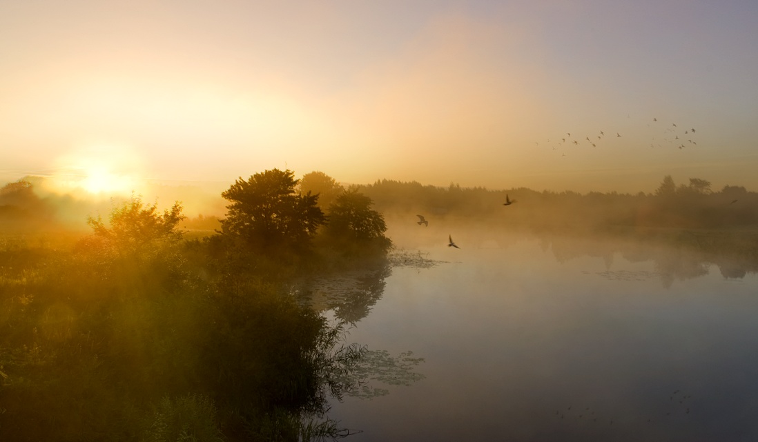 Die Begegnung mit einem neuen Tag