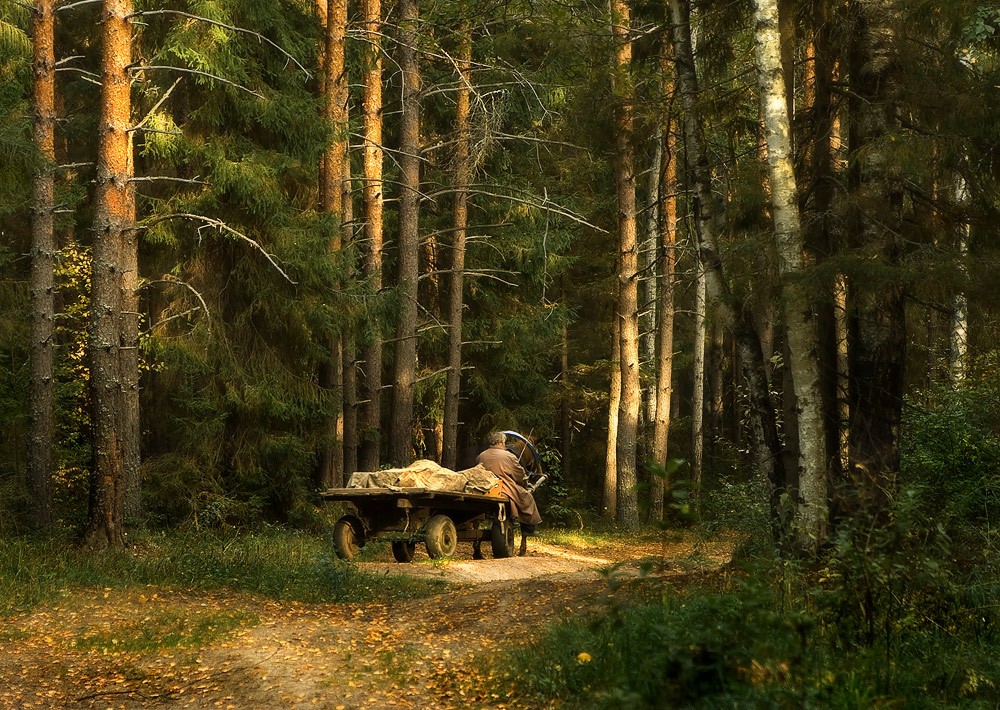 Von einem entfernten Dorf.