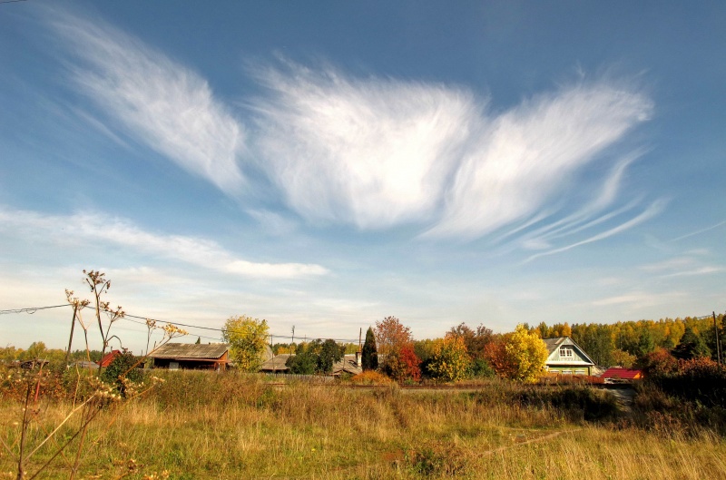 Herbst Flug eines Engels.