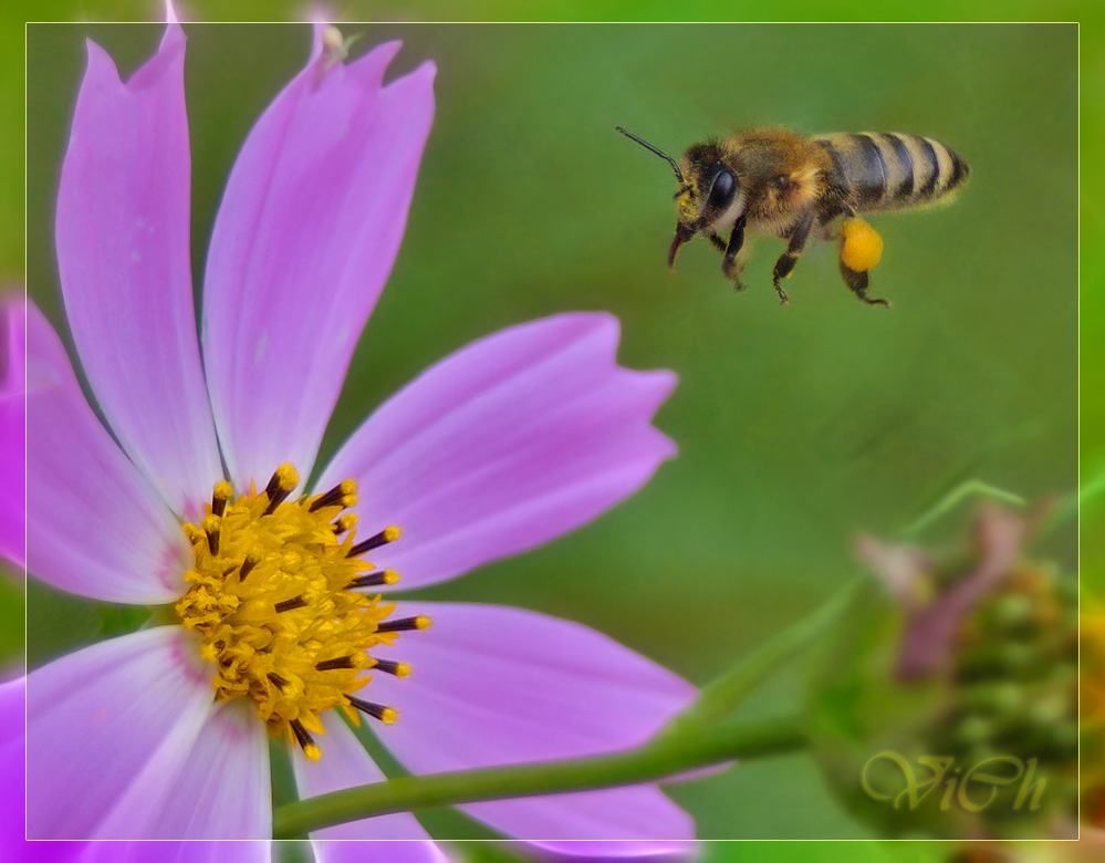 auf der Suche nach einem leckeren