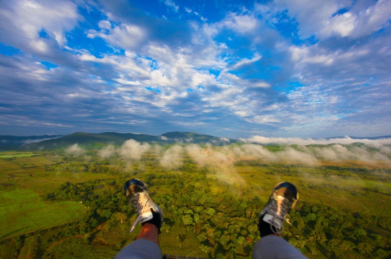 Im Flug .. Können und träumen ...