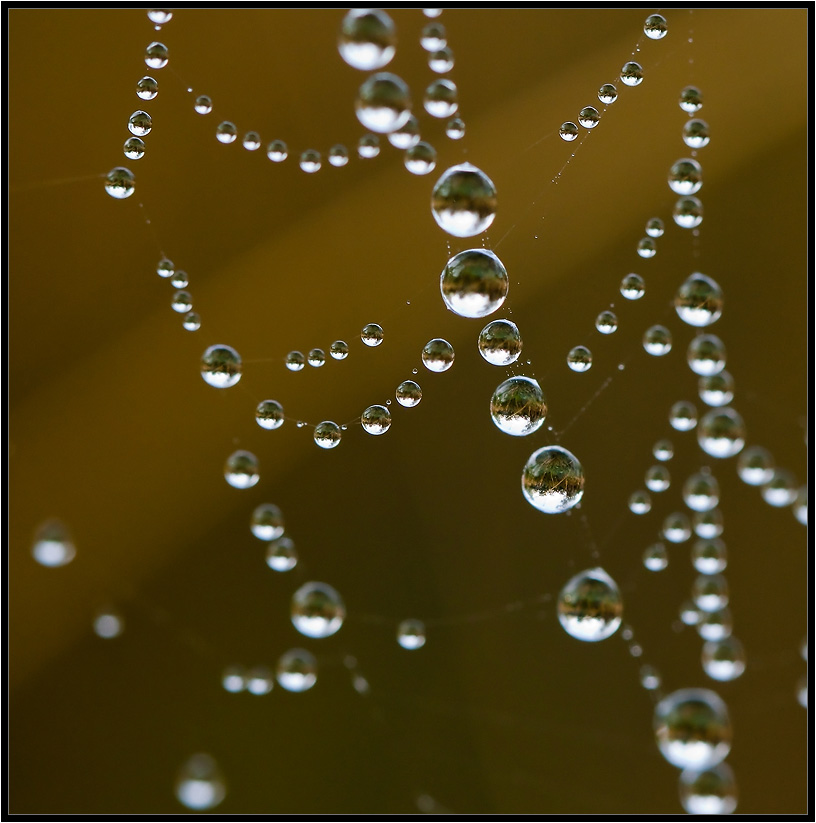 Daß eine solche Abstraktion hier ...