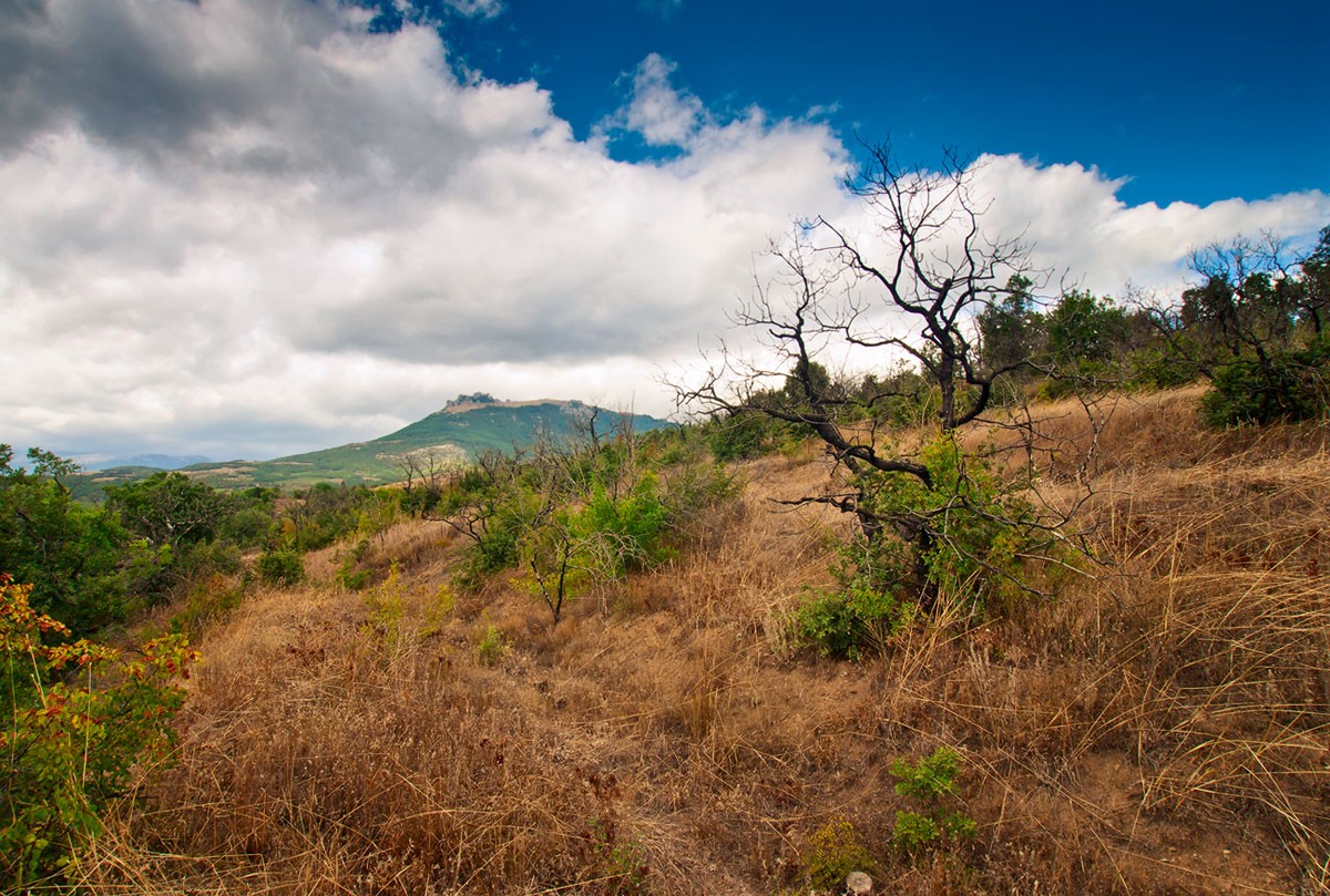 C Ansichten Demerdzhi