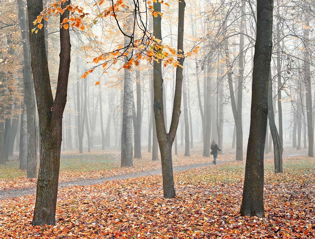 A Walk in the Fall # 2