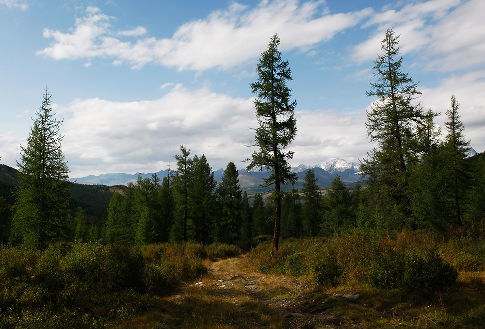 Altai-Gebirge № 4