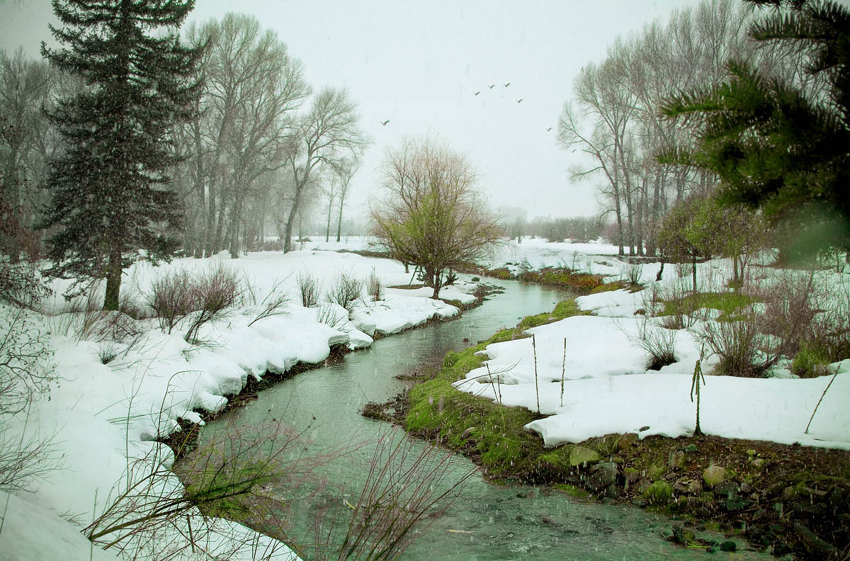 Snowy River