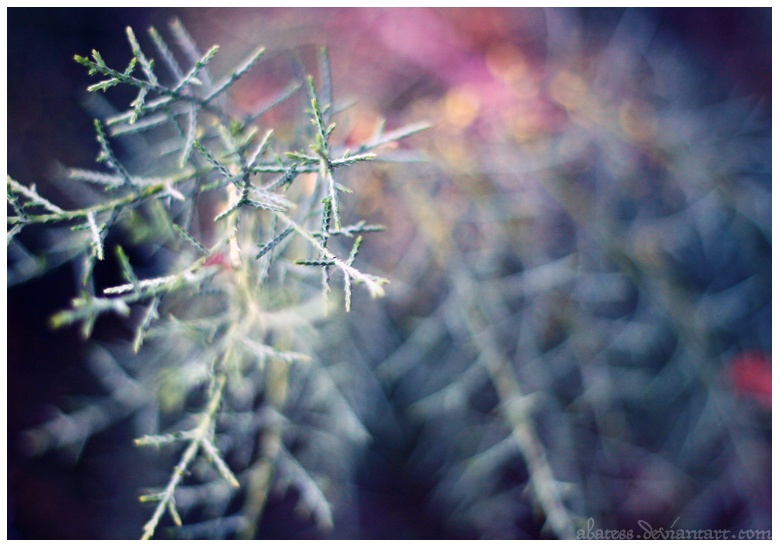 Dünne Fäden aus kalt