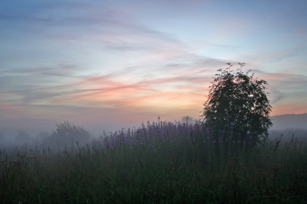 Meine Träume, Träume ...