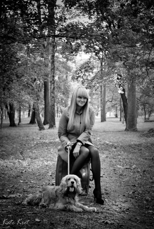 Porträt eines Hundes