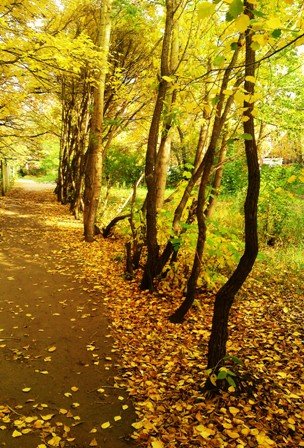 Die erste Entblätterung