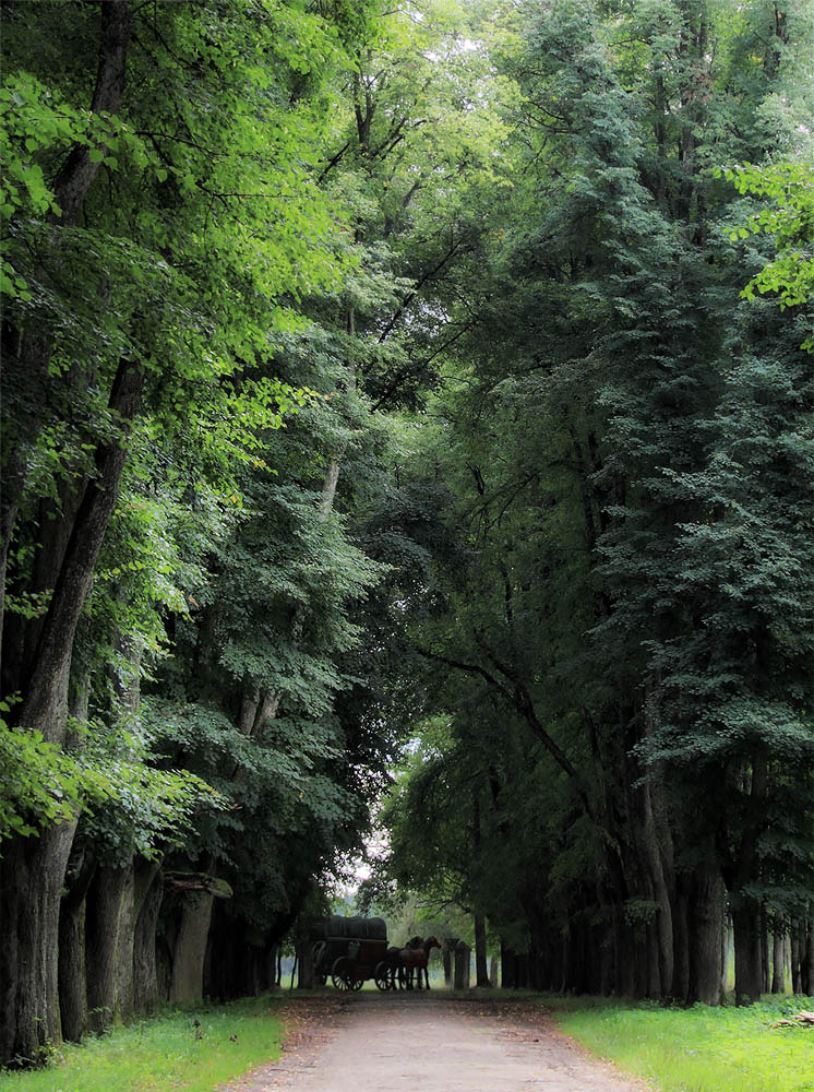 Straße zum alten Herrenhaus