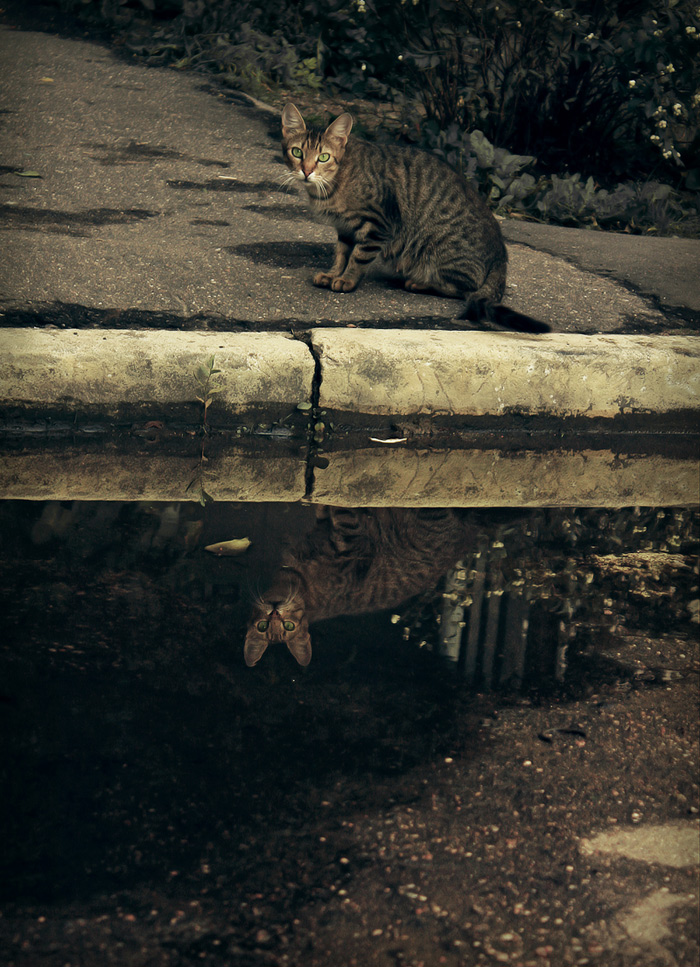 Der Herbst ist für alle kommen ...