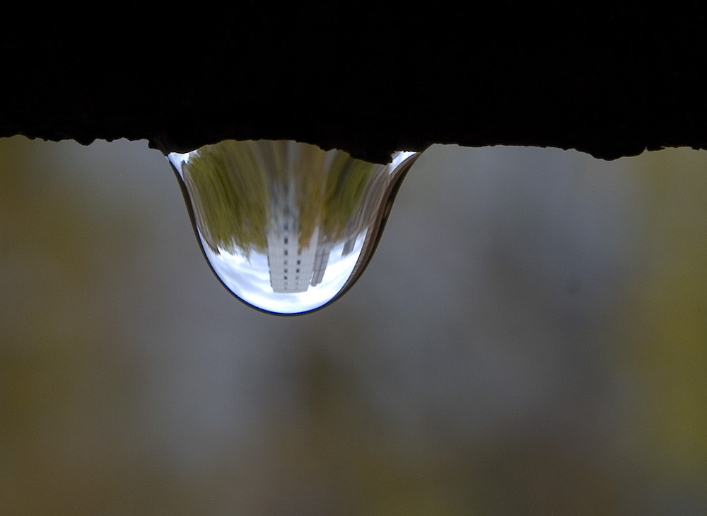 Spotting Herbst dozhdichek