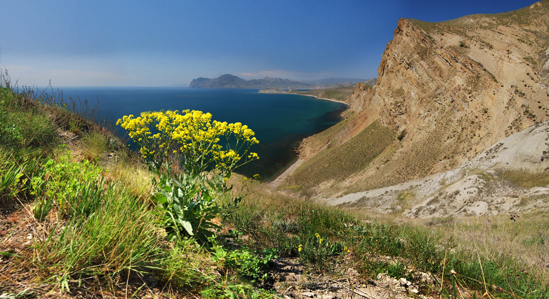Frühling Freiflächen