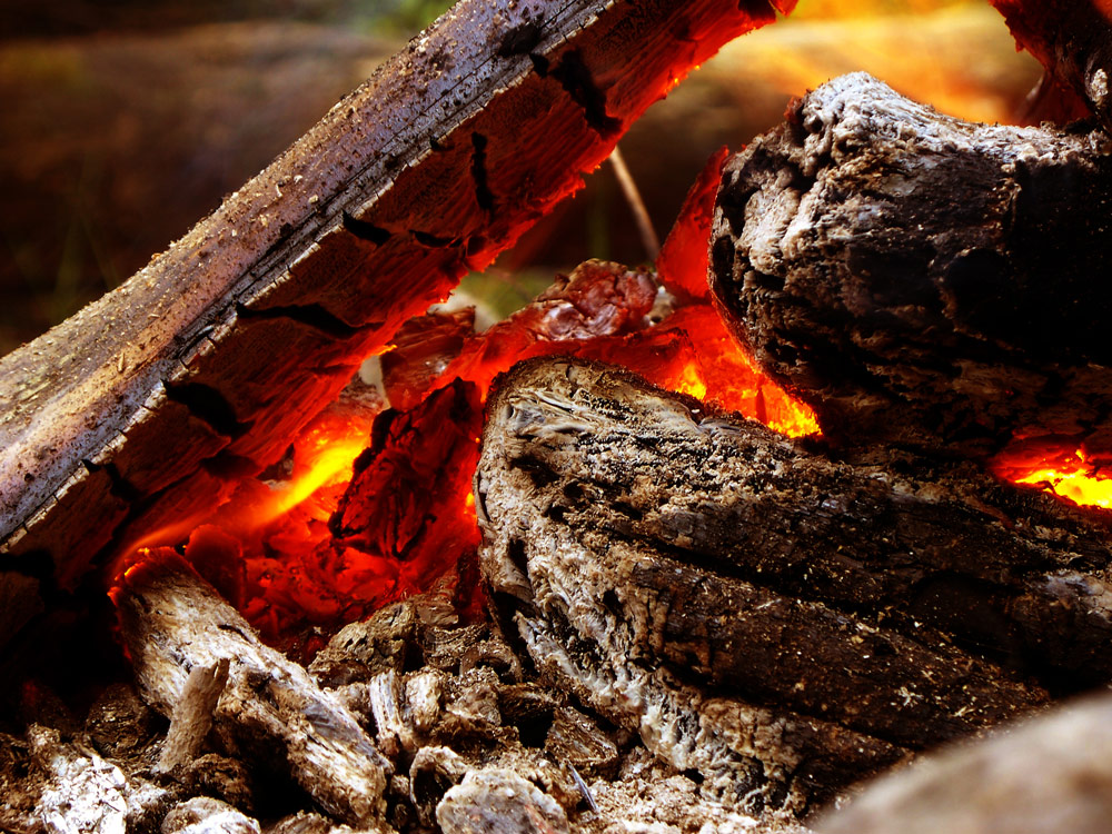 Die Geburt der Elemente