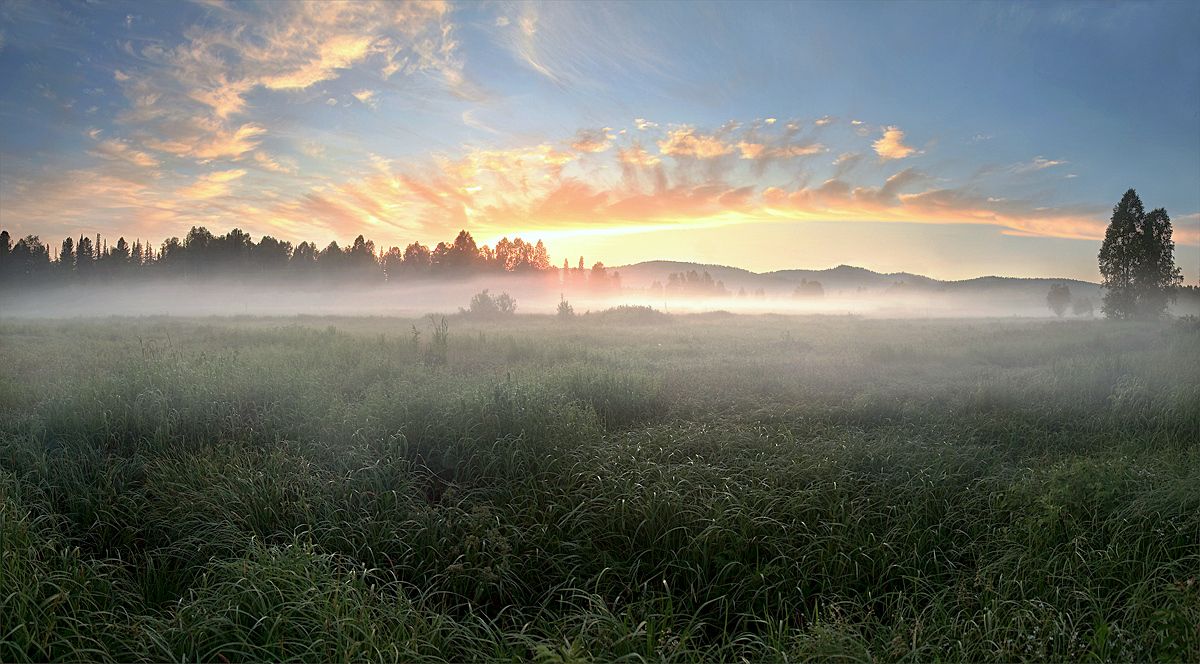 Bücken Morgendämmerung Nebel flossen in die Wiesen ...