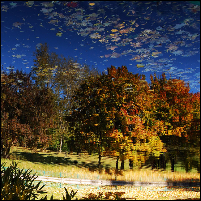 In der Wildnis von Herbst