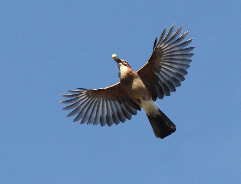 Pre-Winter Hausarbeit