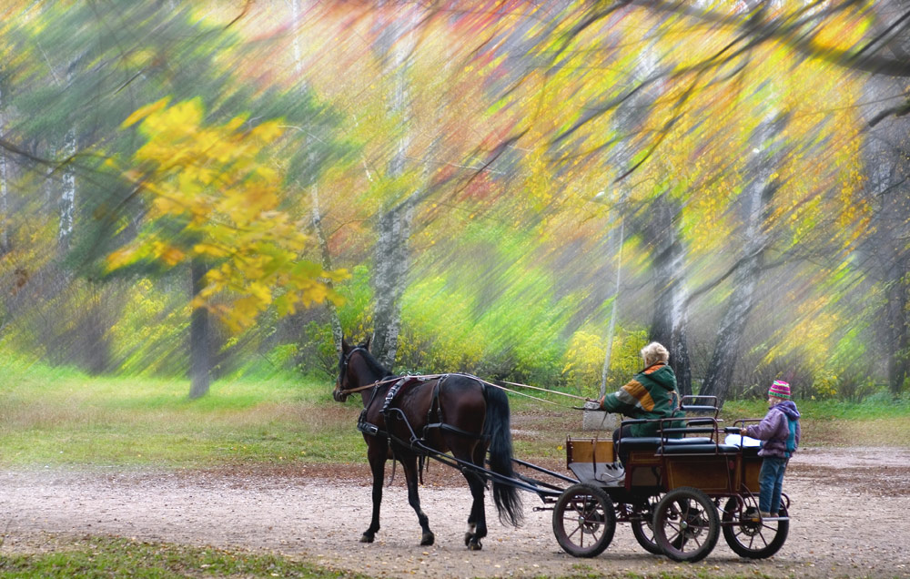 Herbst in Sokolniki