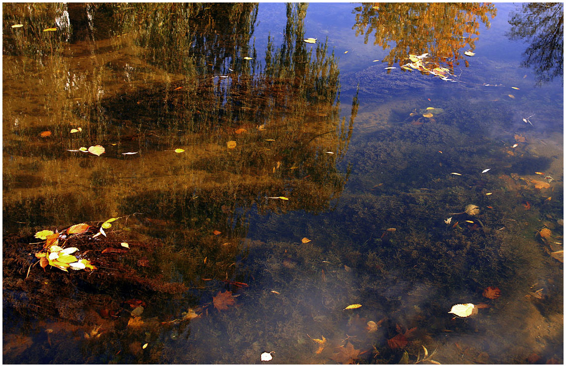 Herbst Reflexionen