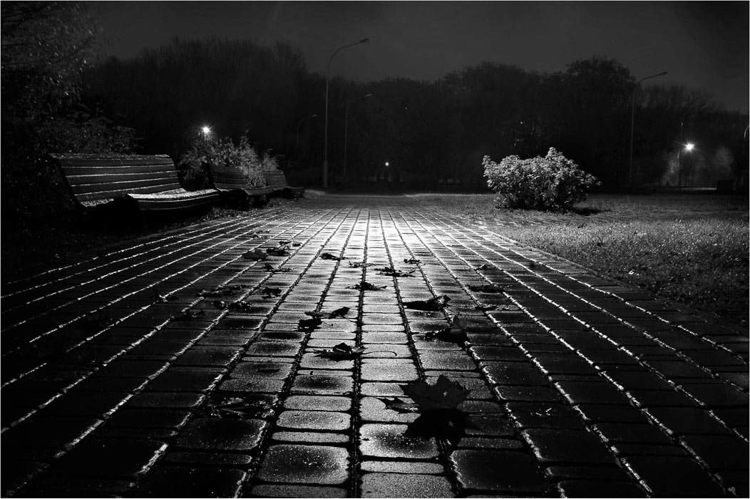 Nasse Nacht Herbst ...