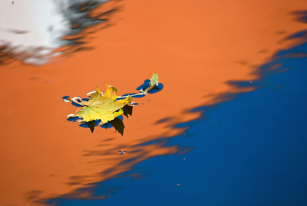 schwebte durch die Stadt fallen