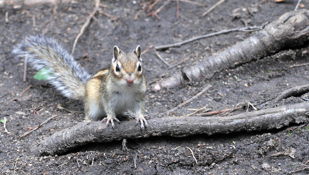 Na, was guckst du? Ich warte!
