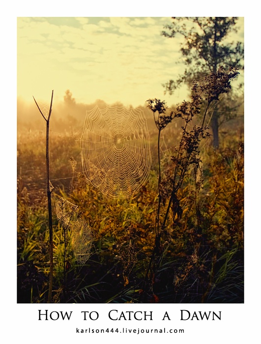 Wie fangen die Sonne.