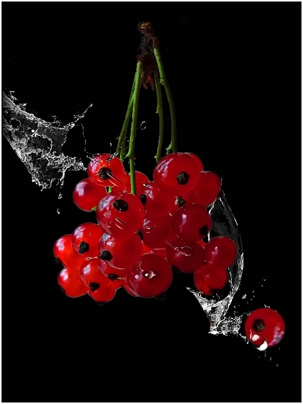 Johannisbeeren