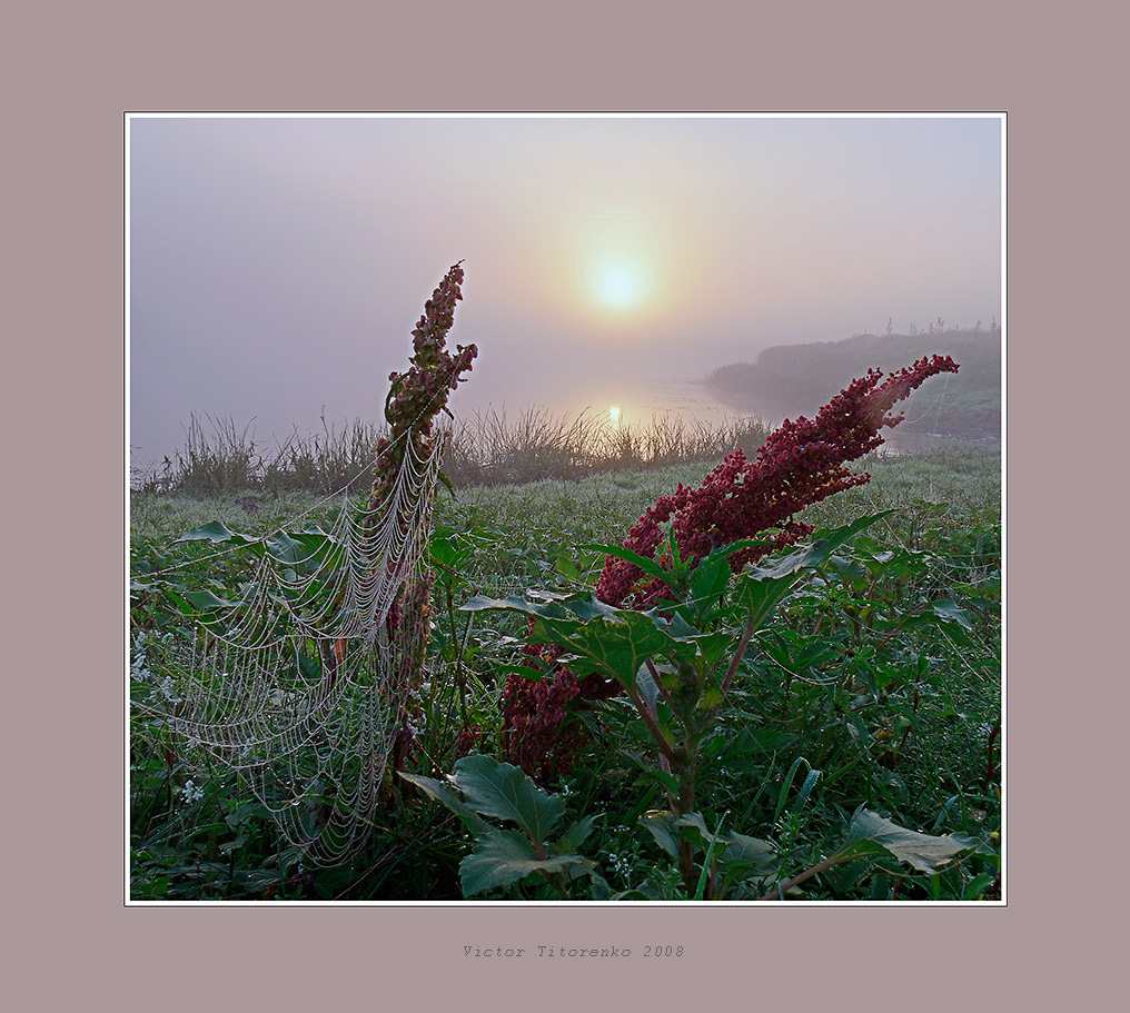 Ein Fragment von einem Morgen im August