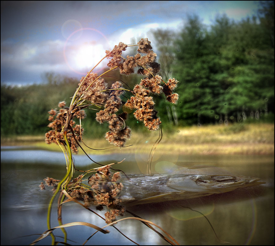 Private Eigenschaft 3