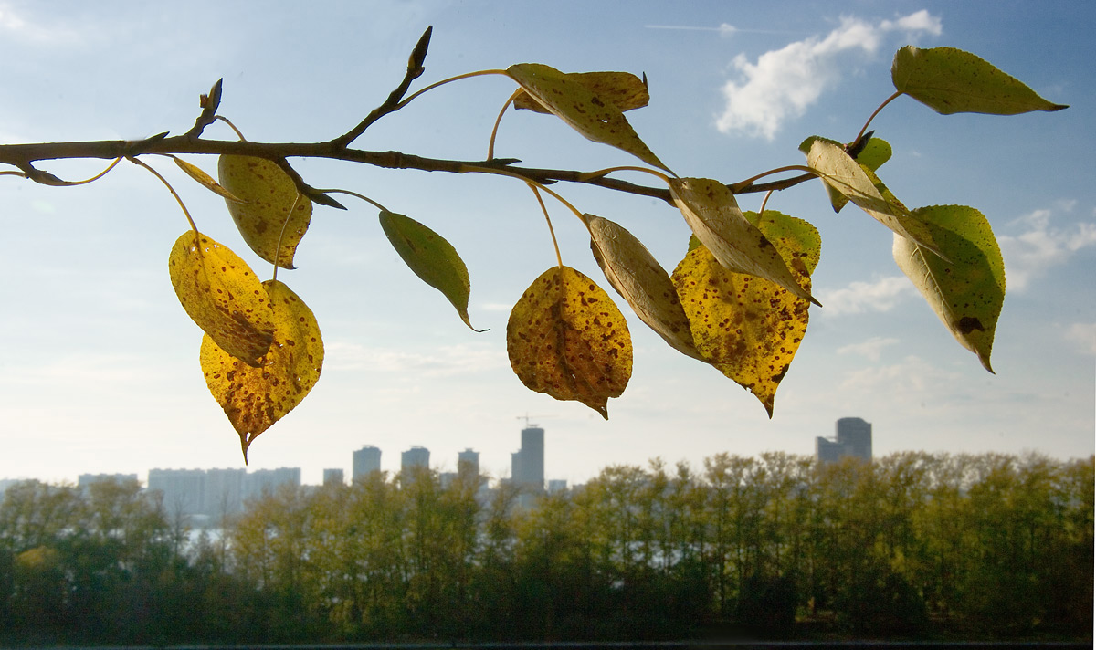 Und die Stadt kam zu Sturz