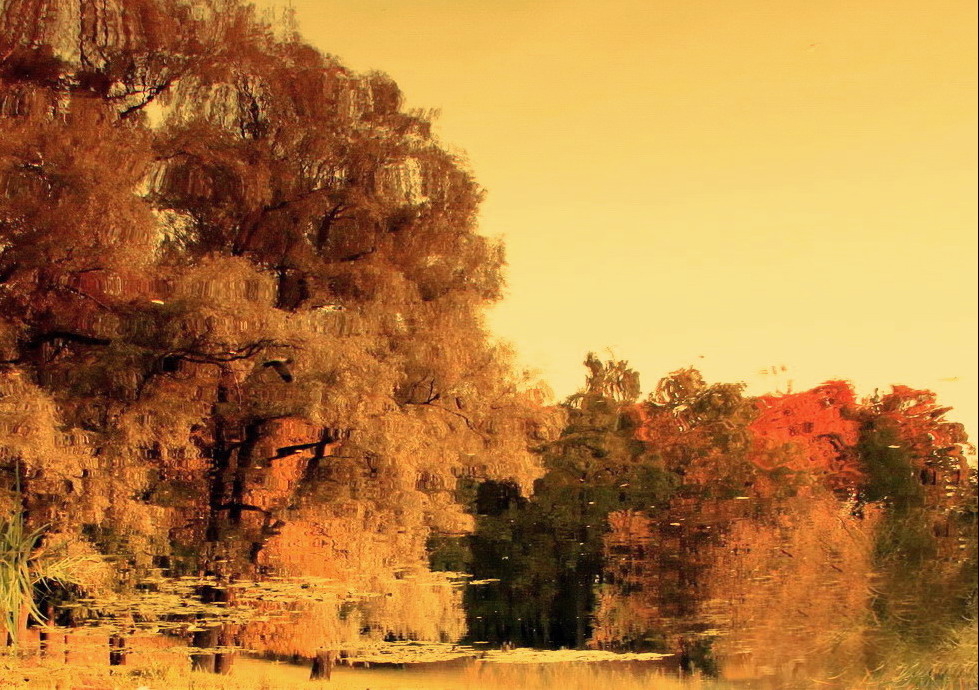 Unentschieden Herbst