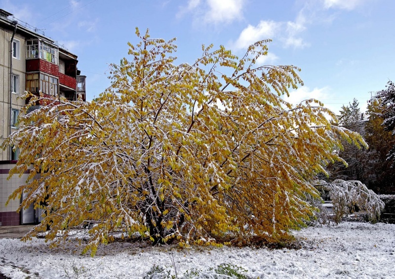Nach einem Sturz oder schon ....?