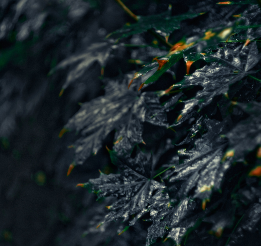 Diese Nacht war regen