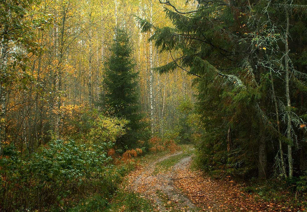 Zwischen der Gegenwart und Zukunft ...