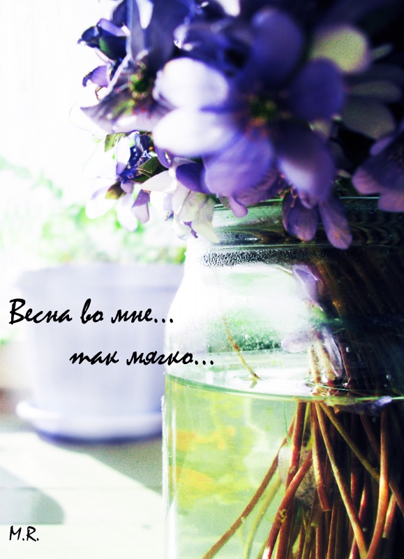 Frühling in mir so sanft .........