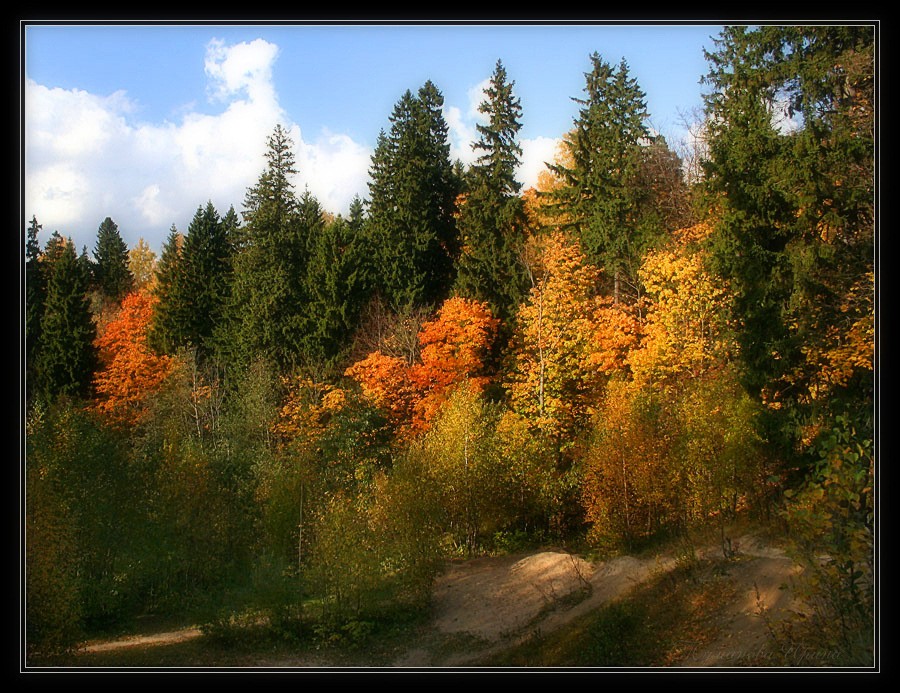 Über die Herbst-Saison ...