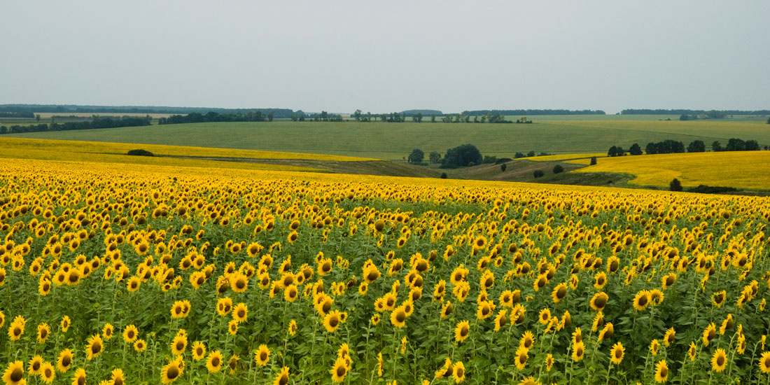 Lagerräume der Sonne