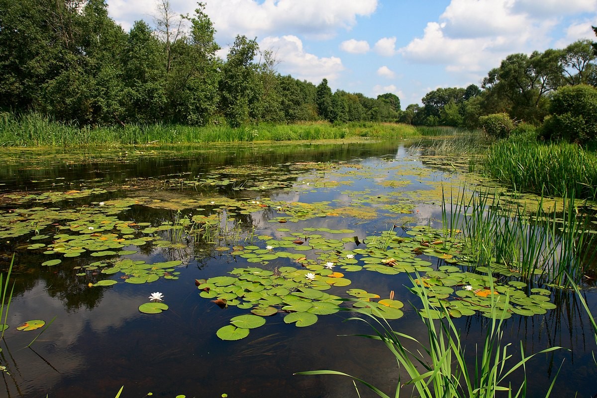 auf Ushachke River 2