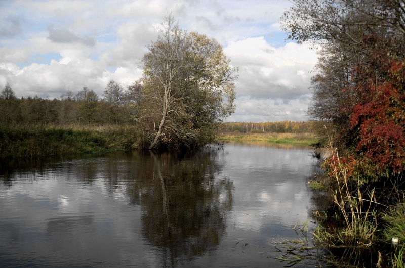 Jeder von uns in dieser Welt gibt es Orte, ...