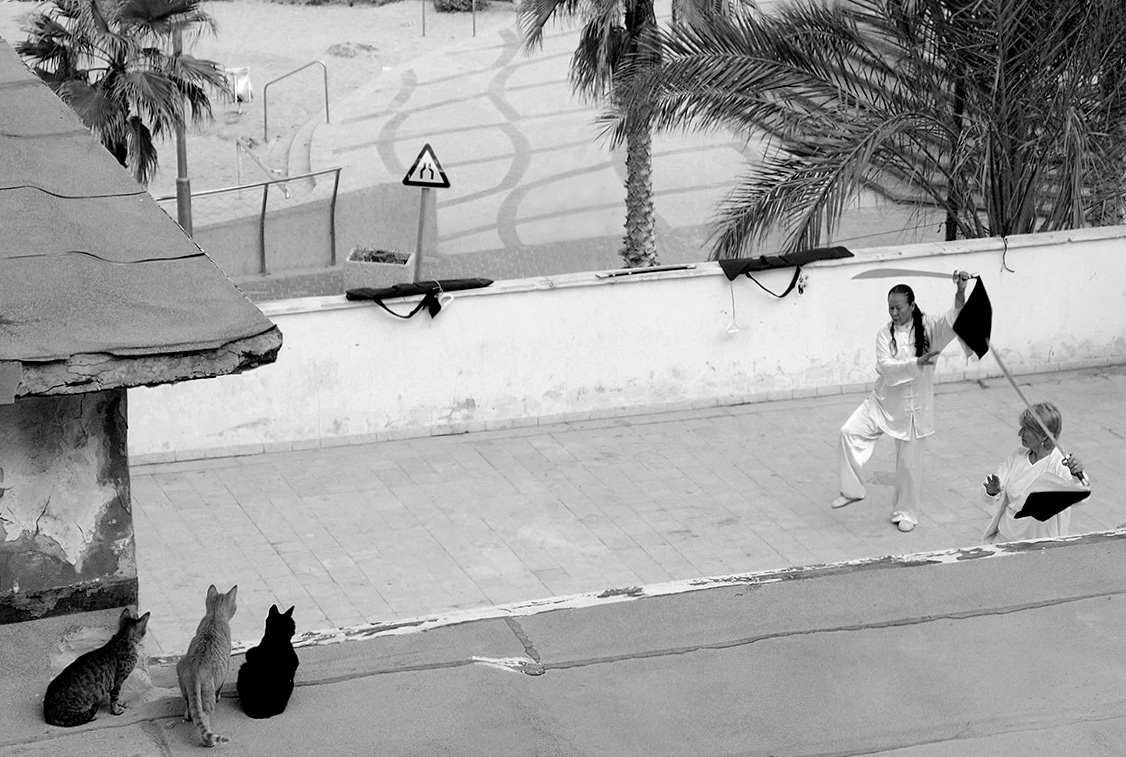 Weißen den Vortritt