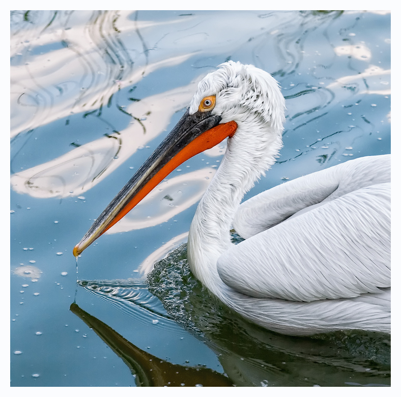 Herbst ... traurig ...