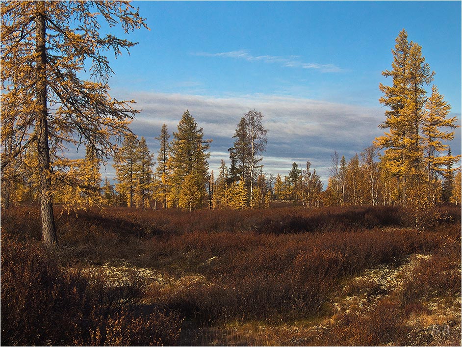 Farben, ein indischer Sommer