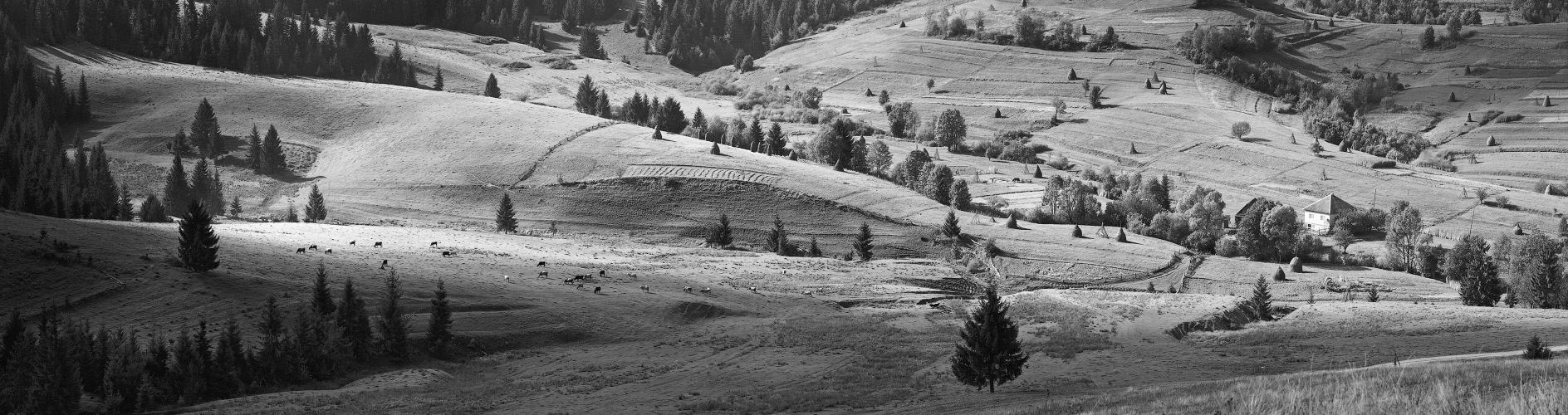 Karpaten-Motiv in BW