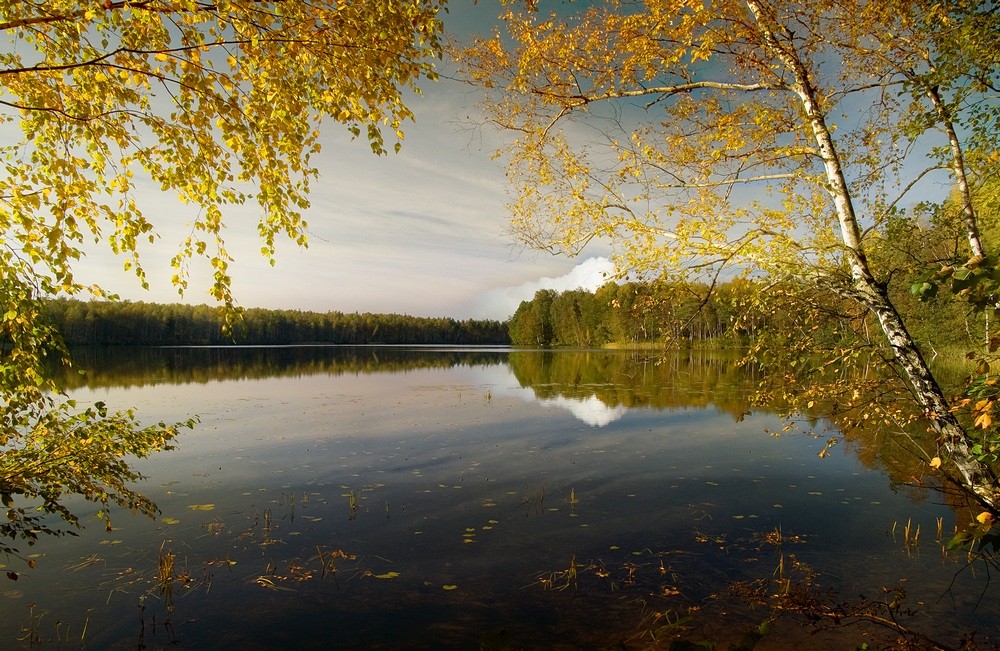 Augen, den Charme ...