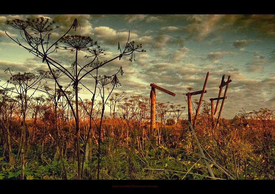 Und so ganz nebenbei ... und Stille ...