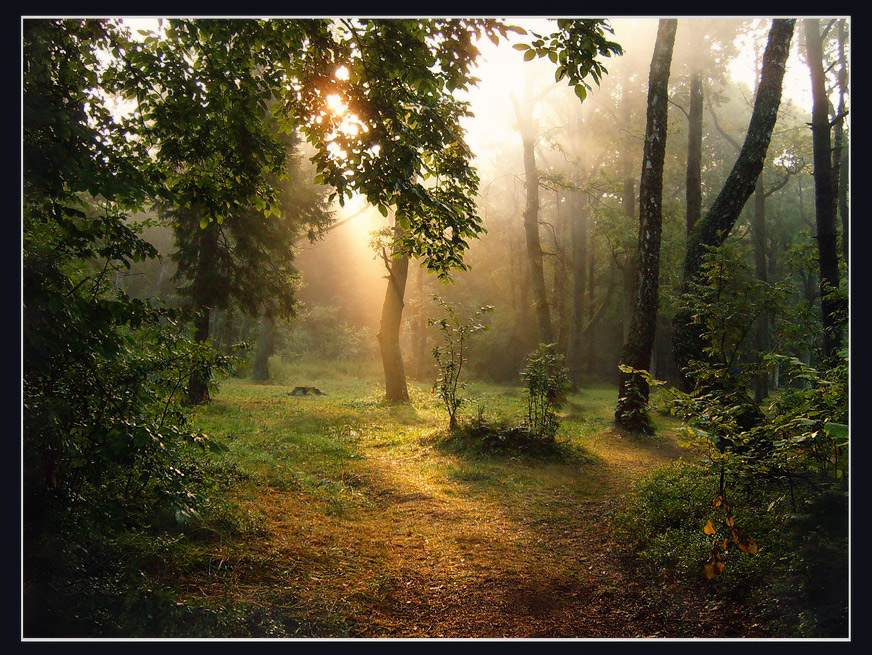 Morgen in der gleichen Gesamtstruktur ...