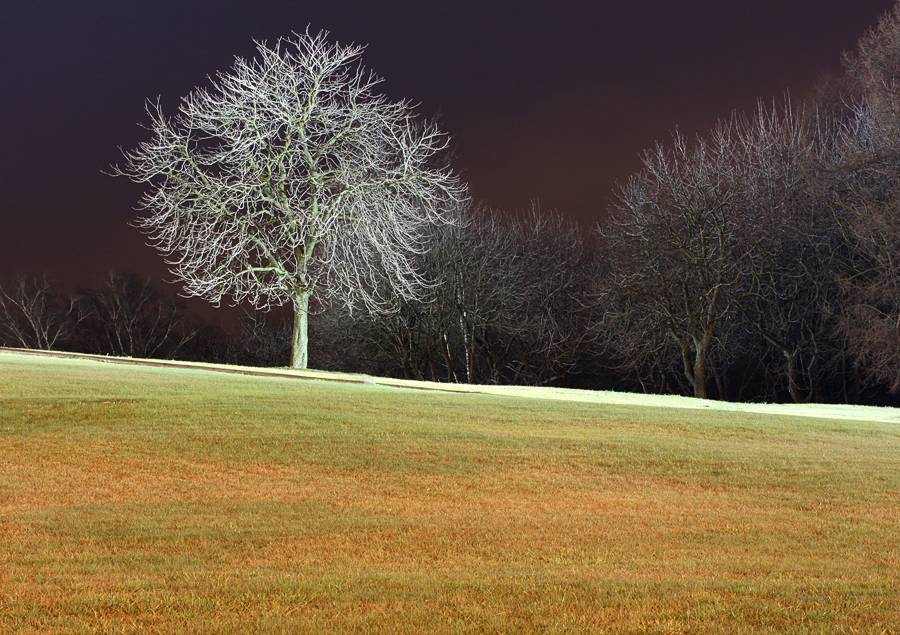 Über Einsamkeit unter anderem ....